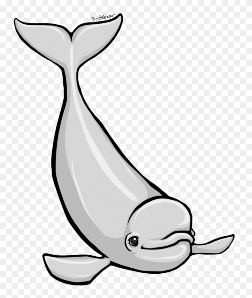 857x1024 A Ordable Cartoon Beluga Whale Drawing At Getdrawings Com Free - Sandcastle Clipart Black And White