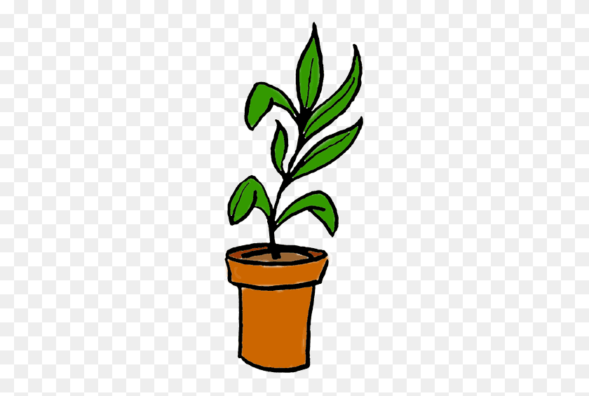 200x505 A Perfect World - Potted Plant PNG