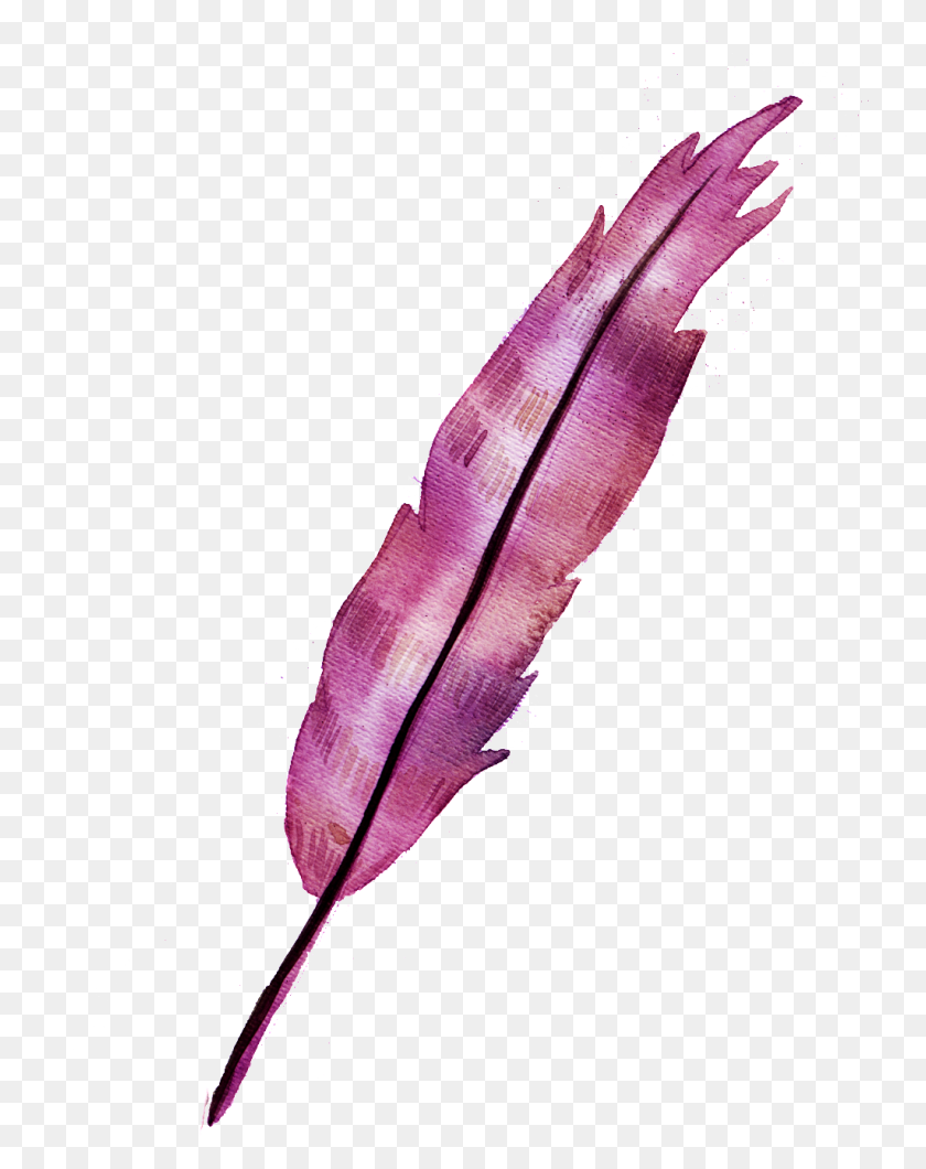 1024x1314 A Red Feather Png Element Free Png Download Png Vector - Feather PNG