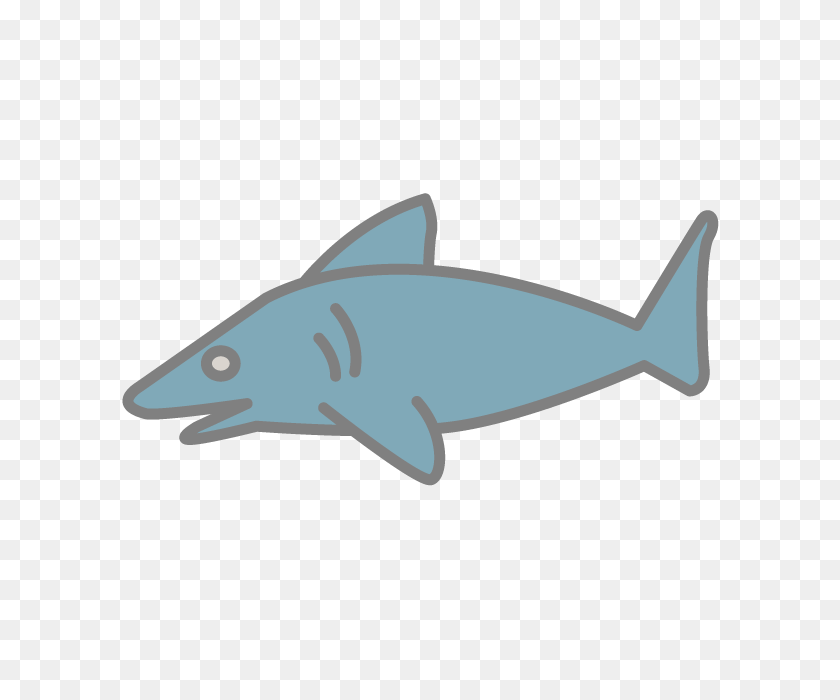 640x640 A Shark Free Icon Material Illustration Clip Art - Warranty Clipart