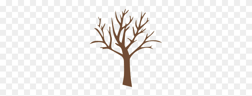 241x262 A Tree Trunk Drawing - Clip Art Tree Trunk