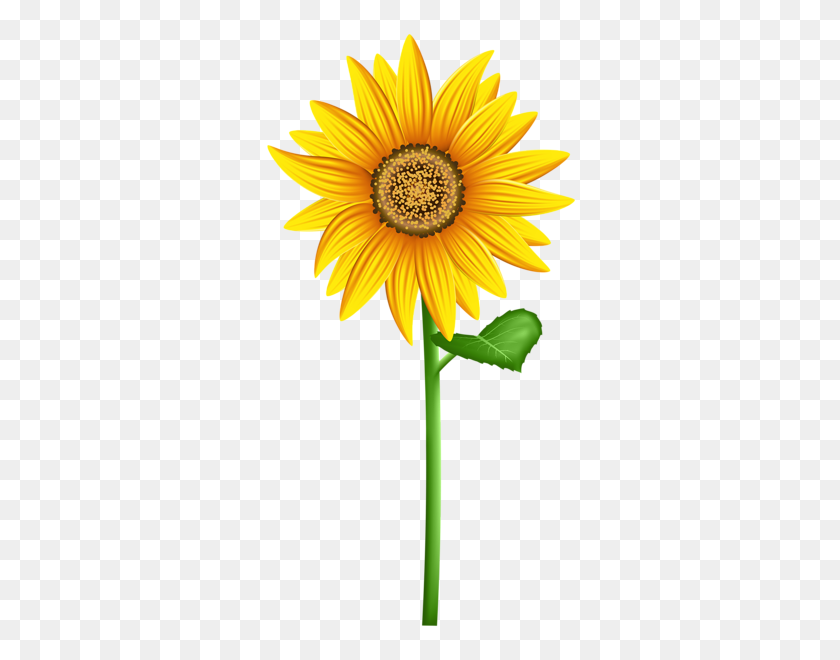 318x600 Aa Flores Sunflower - Sunflower Clipart PNG