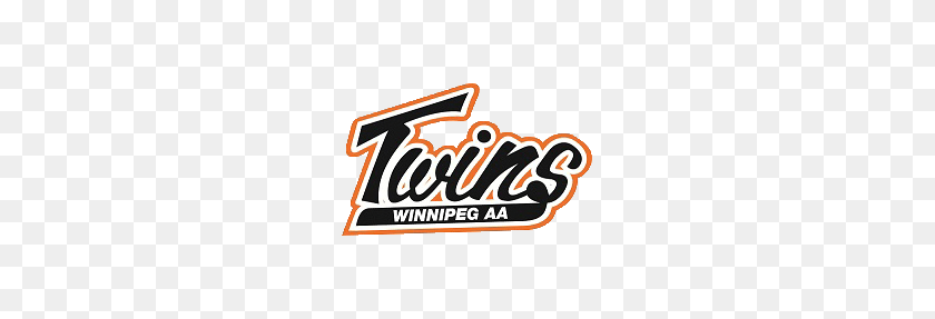 378x227 Aa Hockey - Twins Logo Png