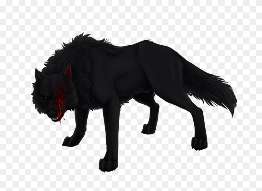 900x636 Aaron Black Wolf - Black Wolf PNG