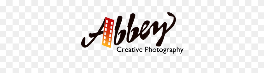 341x175 Abbey Photographers - Photography Logo PNG