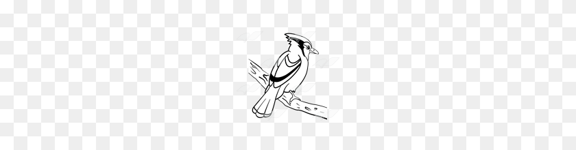 160x160 Abeka Clip Art Blue Jay On A Branch - Blue Jay Clipart