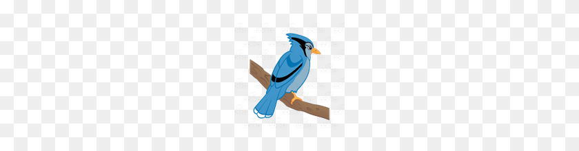 160x160 Abeka Clip Art Blue Jay On A Branch - Blue Jay PNG