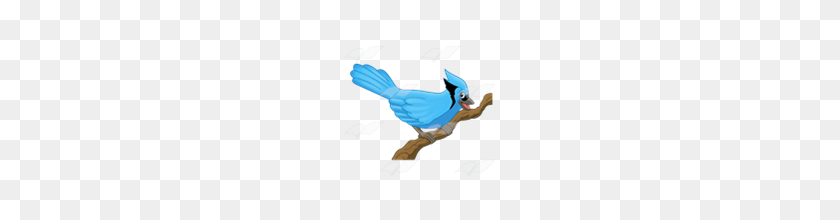 160x160 Abeka Clip Art Blue Jay On A Branch - Blue Jay PNG