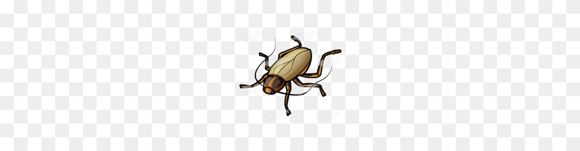 160x160 Abeka Clip Art Brown Cockroach - Roach Clipart