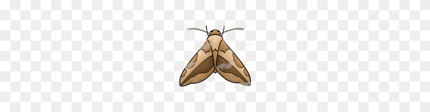 160x160 Abeka Clip Art Brown Moth - Moth Clipart