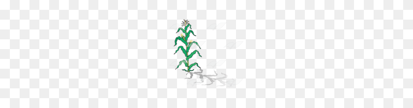 160x160 Abeka Clip Art Cornstalk With Ears With Shadow - Corn Stalk PNG