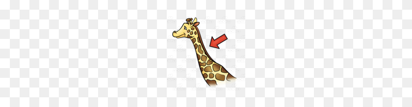 160x160 Abeka Clip Art Giraffe Neck With A Red Arrow - Neck PNG