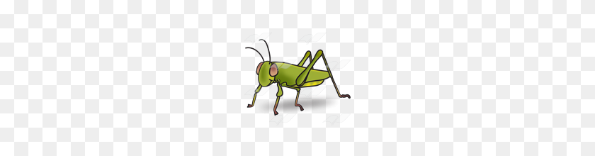 160x160 Abeka Clip Art Green Grasshopper - Grasshopper PNG