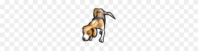 160x160 Abeka Clip Art Sniffing Beagle - Beagle PNG