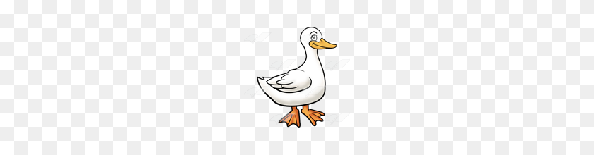 160x160 Abeka Clip Art White Duck - Duck PNG