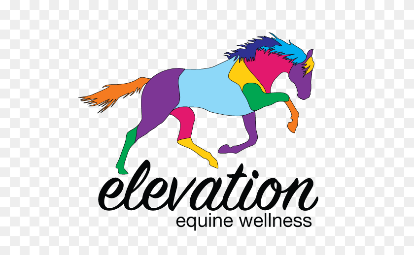 578x458 About + Contact Elevation Equine Bodywork - Sweetest Day Clip Art