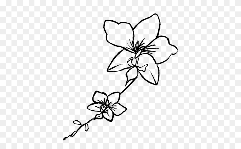 400x460 About - Flower Sketch PNG