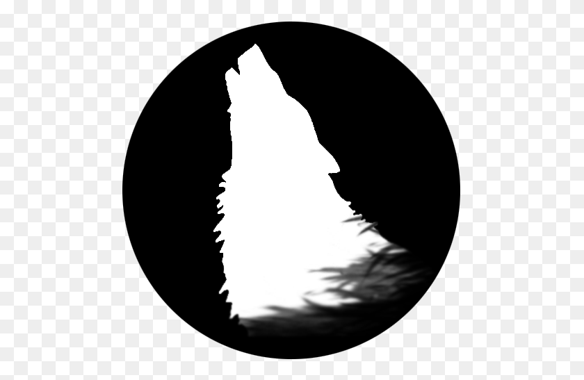 487x487 About A Couple Of Wolves - White Wolf PNG