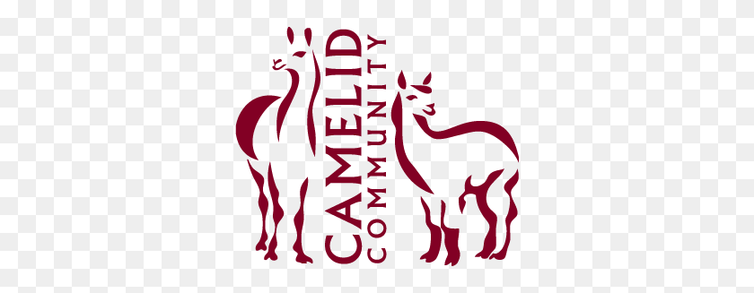 316x267 About Camelid Community - Llamas PNG