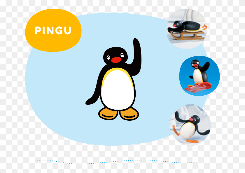 668x535 About English Site - Pingu PNG