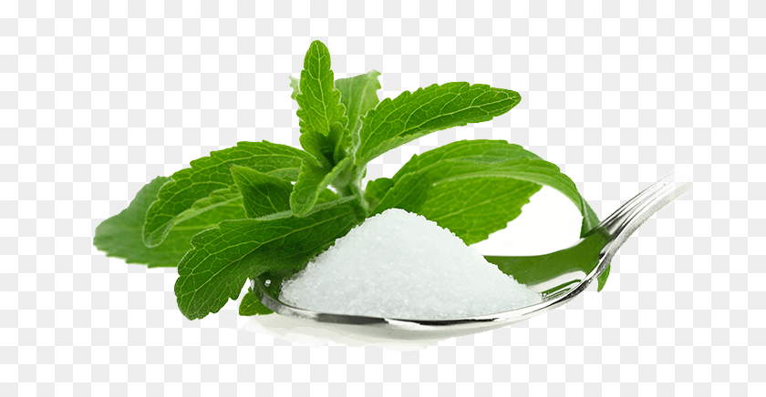677x376 About Erythritol - Mint Leaf PNG