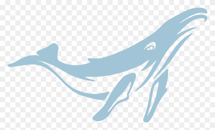 1000x576 About Services Blue Whale Design - Blue Whale PNG