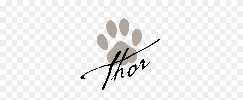288x288 About Thor Who Is Thor What Thor Told Me - Donald Trump Signature PNG