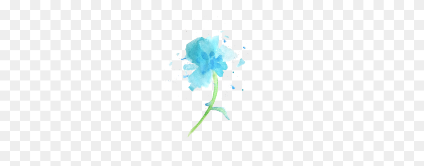 480x270 About Us - Watercolor Flowers PNG