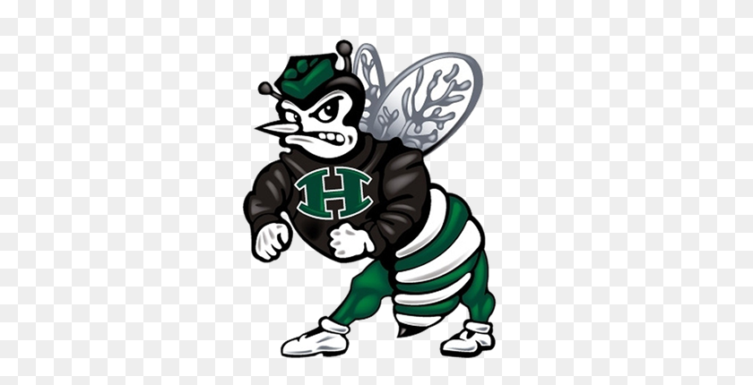 300x370 About Us About Hisd - Hornet Mascot Clipart