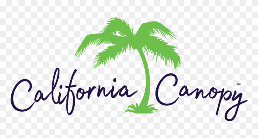 1000x500 About Us Professional Grade Custom Canopies In California - California State Clip Art