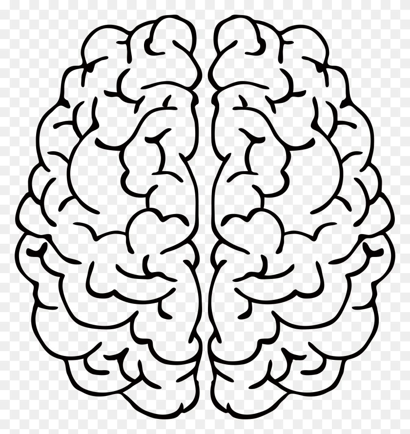 2178x2320 Абстрактные Мозг Линии Искусства Иконки Png - Мозг В Png