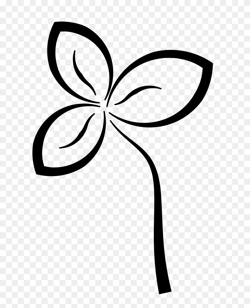 3333x4166 Abstract Flower Black White Line Art Coloring Book Colouring - Theater Clipart Black And White