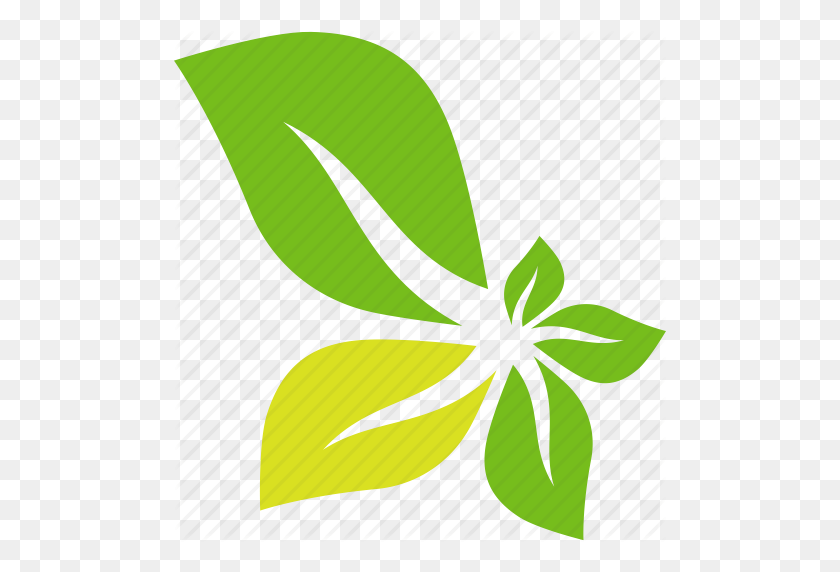 492x512 Abstract, Flower, Green, Leaves Icon - Leaf Icon PNG