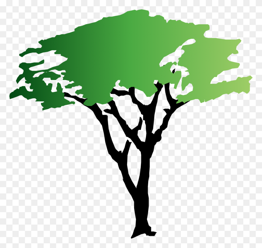 1006x949 Acacia Tree Clip Art - Tree Clipart