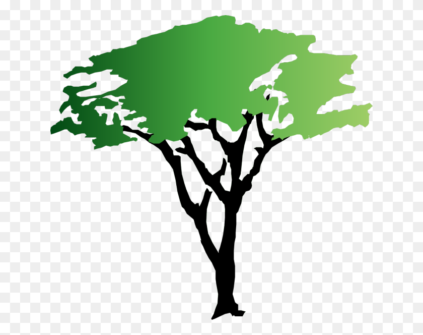 640x604 Acacia Tree Clipart - Tall Tree Clipart
