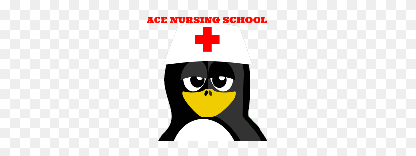256x256 Ace Nursing School The Best Resource For Nursing Students! - School Nurse Clip Art