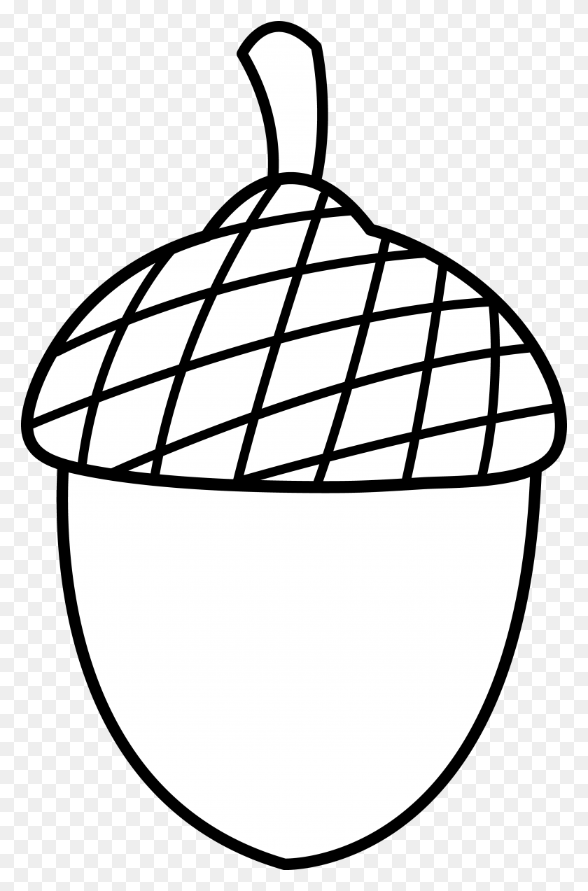 3963x6165 Acorn Clipart Acorn Clip Art Free Transparent Png Clipart - Seed Clipart Black And White