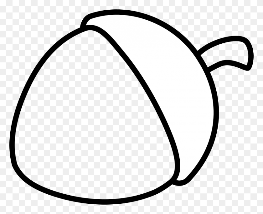 800x643 Acorn Clipart Black And White - Squirrel Clipart Outline
