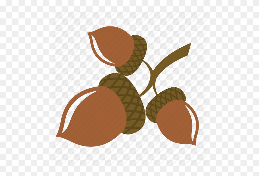 512x512 Acorn Clipart Nut Seed - Acorn Clipart PNG