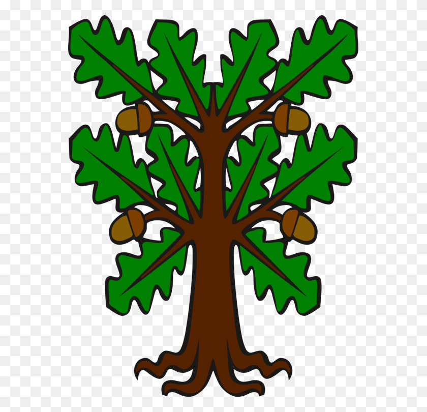 571x750 Acorn Leaf English Oak White Oak Southern Live Oak - Oak Clipart