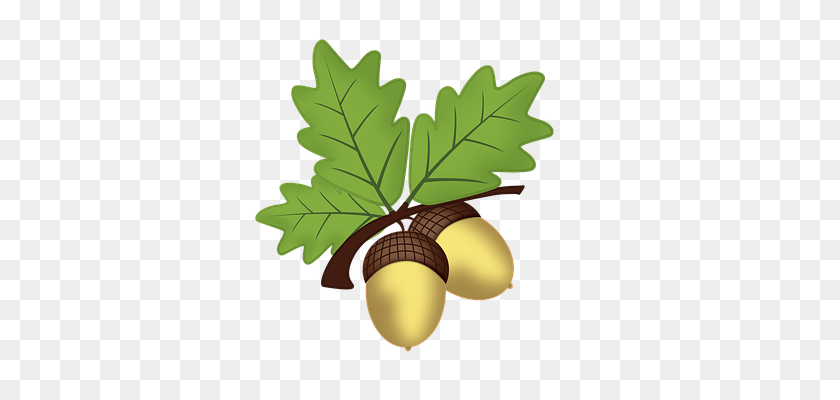 340x340 Acorn Png Imge, Free Picture Download - Acorn PNG
