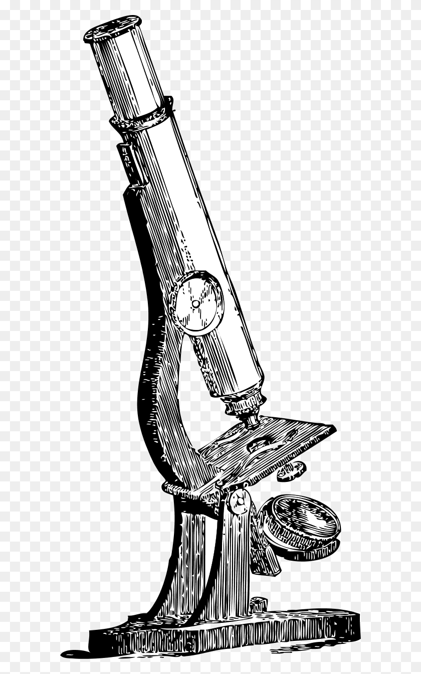 600x1284 Акустическая Гитара Картинки - Микроскоп Клипарт Черный И Белый