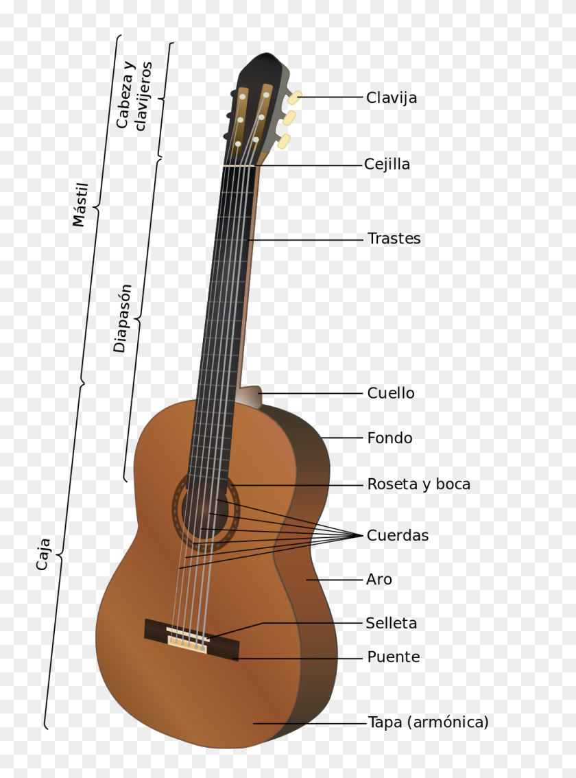 1000x1377 Guitarra Acústica Es - Guitarra Acústica Png