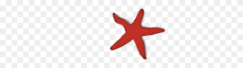 300x178 Addon Red Starfish Clip Art - Starfish PNG