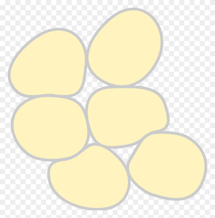 2362x2400 Adipose Tissue Icons Png - Tissue PNG