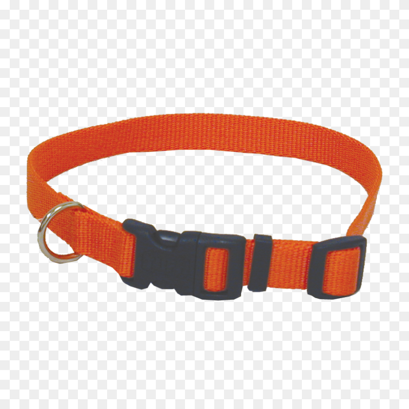 800x800 Adjustable Dog Collar - Dog Collar PNG