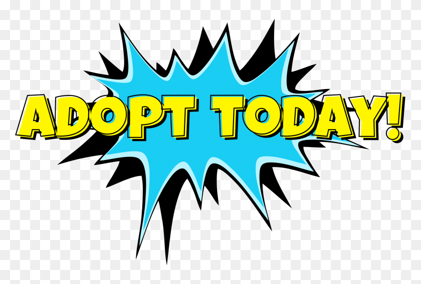2300x1500 Adopt Today Transparent Comic Style Clip Art Dog Cat Clip Art - Wtf Clipart