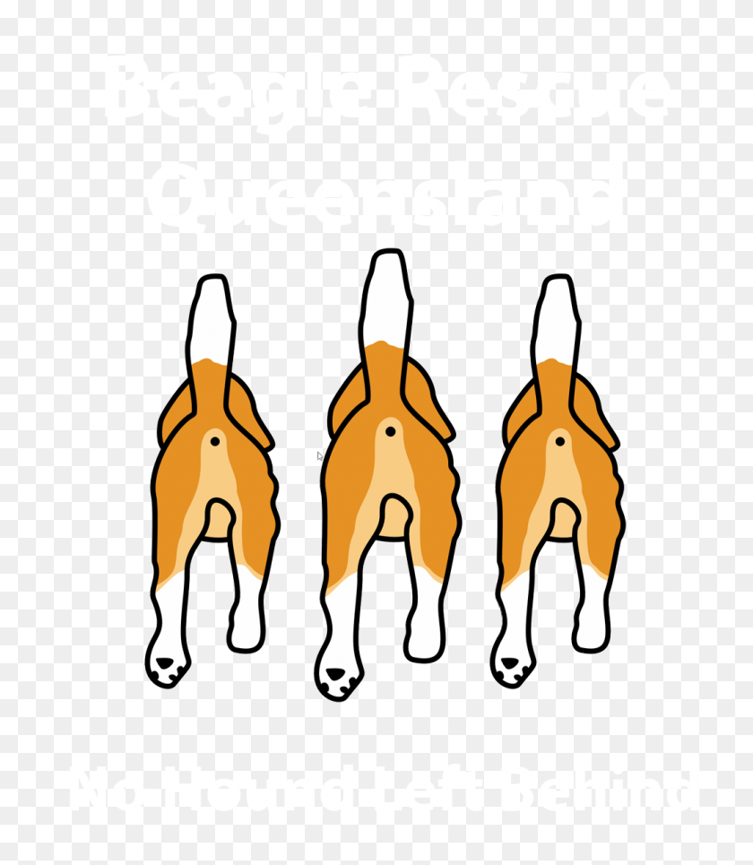 1034x1200 Adoption - Beagle PNG