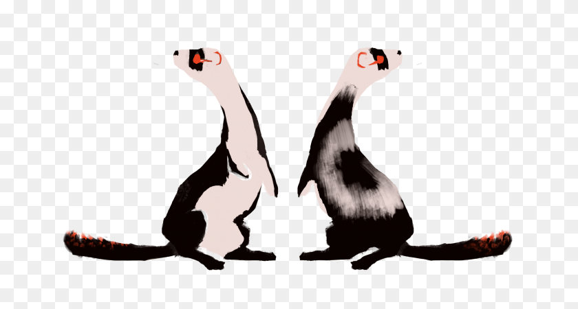 2898x1449 Adorable Elegant Ferrets Waiting For A New Home! Lioden - Ferret PNG