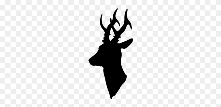 350x350 Adorit Webshop - Deer Head Silhouette PNG